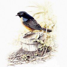 Схема вышивки «птичка на пенечке»