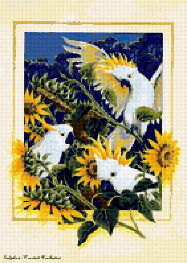 попугаи и подсолнухи - природа картина птицы попугаи цветы подсолнухи - предпросмотр