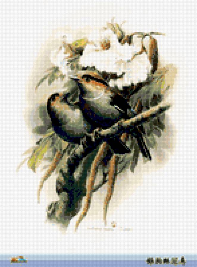 птички - природа картина птицы ветка - предпросмотр