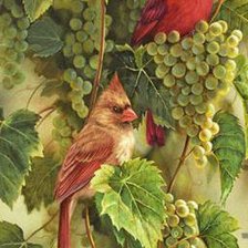 Схема вышивки «№253811»