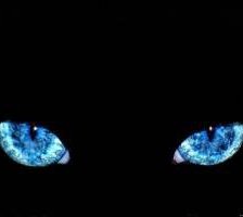 Схема вышивки «№253880»