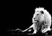 Схема вышивки «№253884»