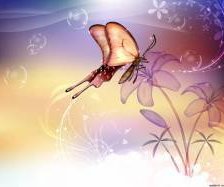 Схема вышивки «№253889»