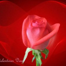 Схема вышивки «№253905»