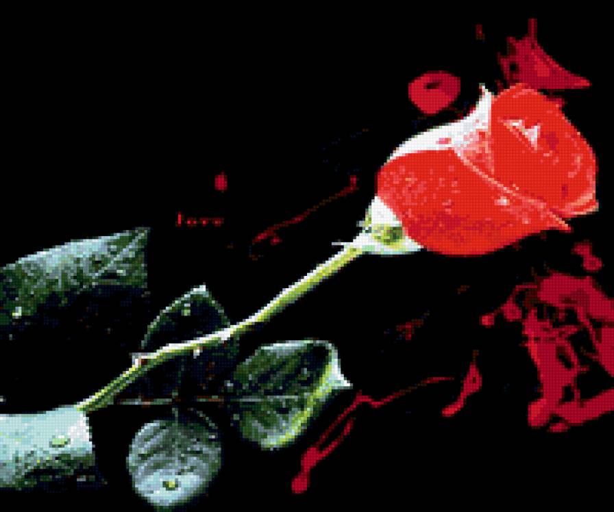 №253906 - предпросмотр