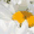 Предпросмотр схемы вышивки «№254013»