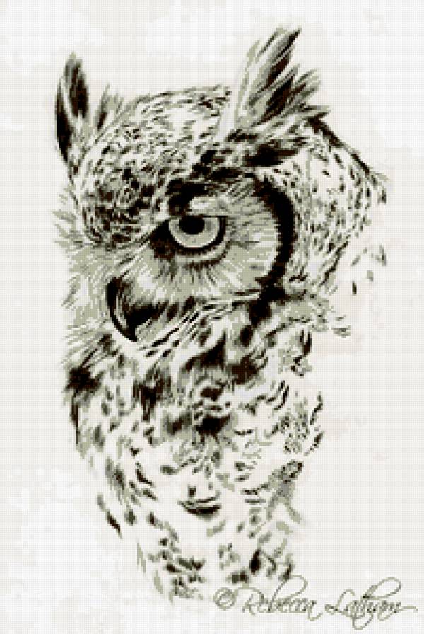 сова - сова, птица - предпросмотр