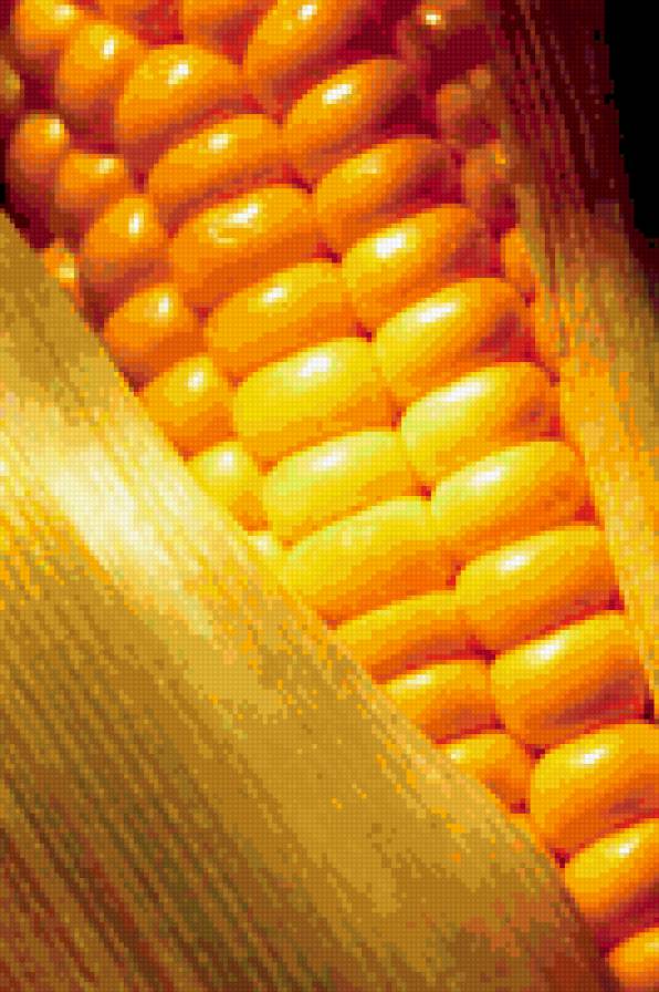 кукуруза - еда, кухня - предпросмотр