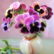 Схема вышивки «Анютины глазки»