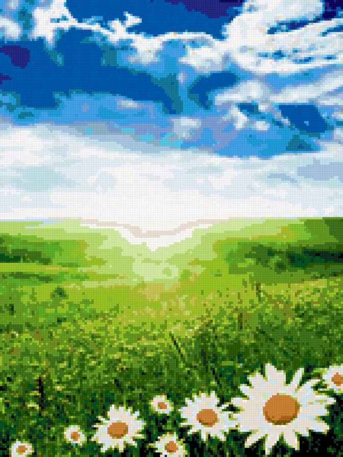 Поле и ромашки - природа, поле, ромашки, цветы - предпросмотр