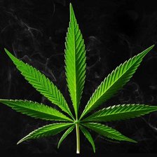 Схема вышивки «марихуана»