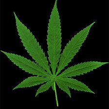 Схема вышивки «марихуана»