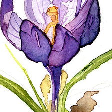 Схема вышивки «акварель»