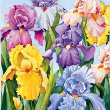 Схема вышивки «Ирисы»