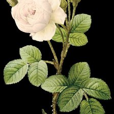 Схема вышивки «Серия "Букет"»