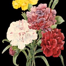 Схема вышивки «Серия "Букет"»