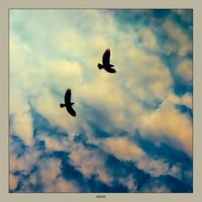 Схема вышивки «птицы»