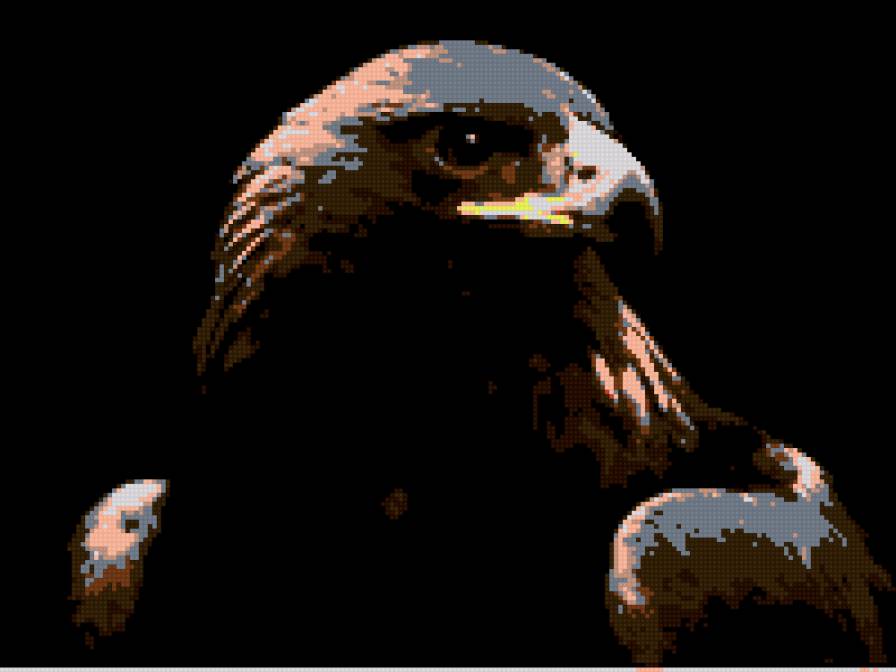 птица - птица, коршун, орел - предпросмотр