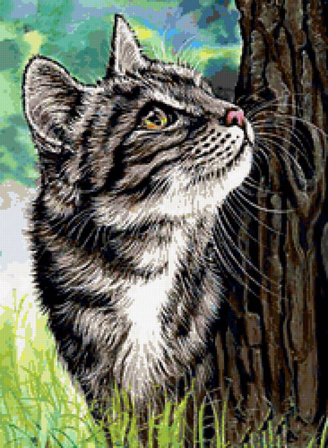 Серая кошечка - кошка, кошечка - предпросмотр