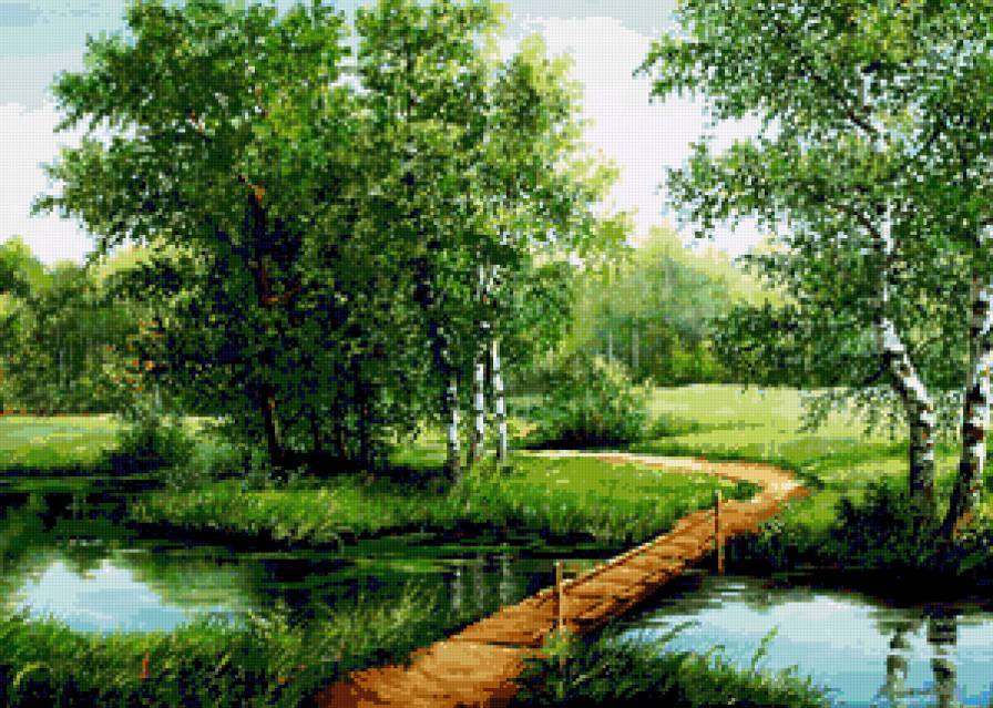 БЕРЕЗКИ - березы, лес, роща, природа - предпросмотр