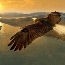 Схема вышивки «№254803»