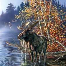 Схема вышивки «№254809»