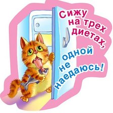 Схема вышивки «котик»