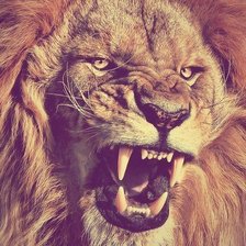 Схема вышивки «лев»