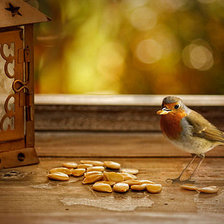 Схема вышивки «птичка невеличка»