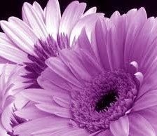 Схема вышивки «№254921»