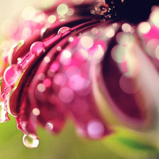 Схема вышивки «цветы»