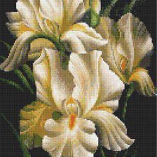 Схема вышивки «Ирисы»