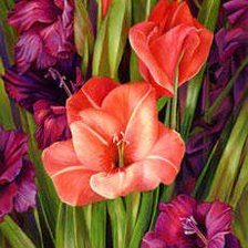 Схема вышивки «№254984»