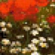 Предпросмотр схемы вышивки «поле маков» (№254993)