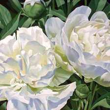 Схема вышивки «Белые пионы»