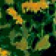 Предпросмотр схемы вышивки «подсолнухи» (№255010)