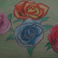 Схема вышивки «Розы»