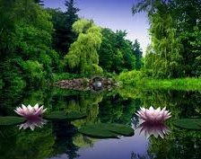 Схема вышивки «№255050»