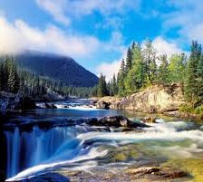 Схема вышивки «№255060»