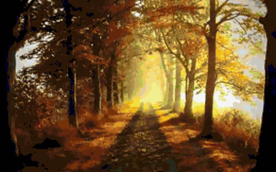 №255073 - осень, природа, пейзаж - предпросмотр