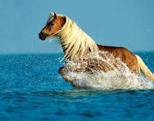 Схема вышивки «№255086»