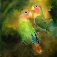 Схема вышивки «попугайчики 1»