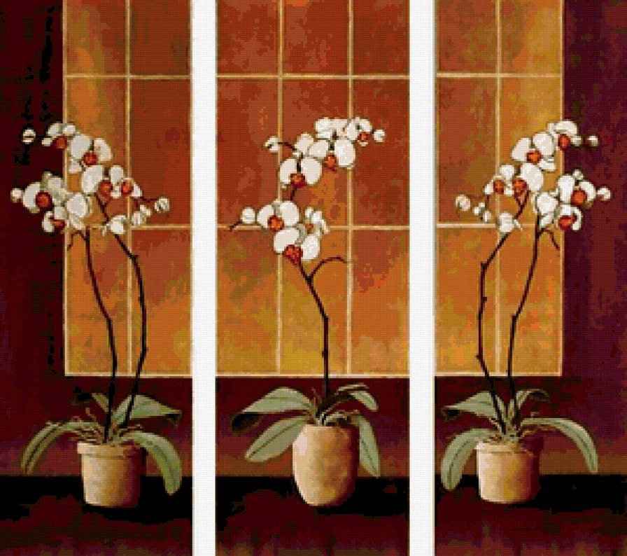 триптих орхидеи - орхидея - предпросмотр