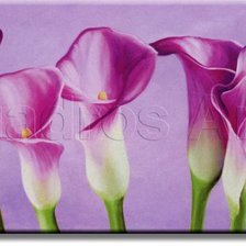 Схема вышивки «Каллы»