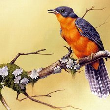 Схема вышивки «птица, животные»