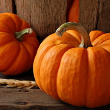 Схема вышивки «Тыква»