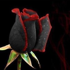 Схема вышивки «роза»