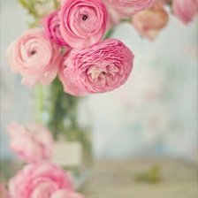 Схема вышивки «розы»