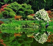 Схема вышивки «№255630»