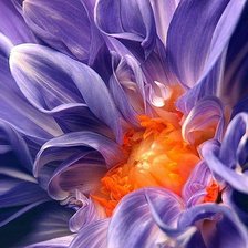 Схема вышивки «№255659»